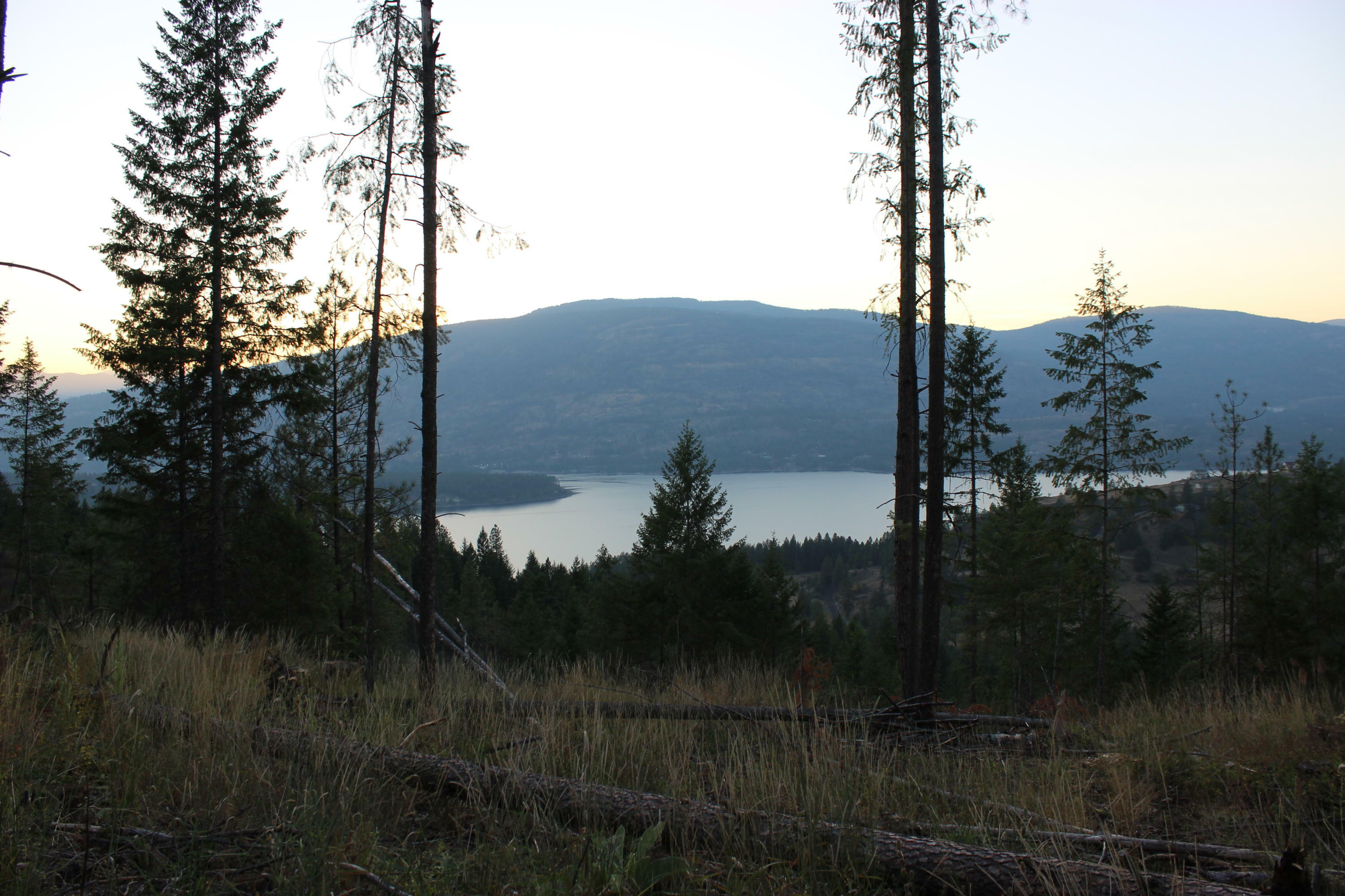 Property Photo:  12xx Gold Edge Mine Rd.  WA 99141 