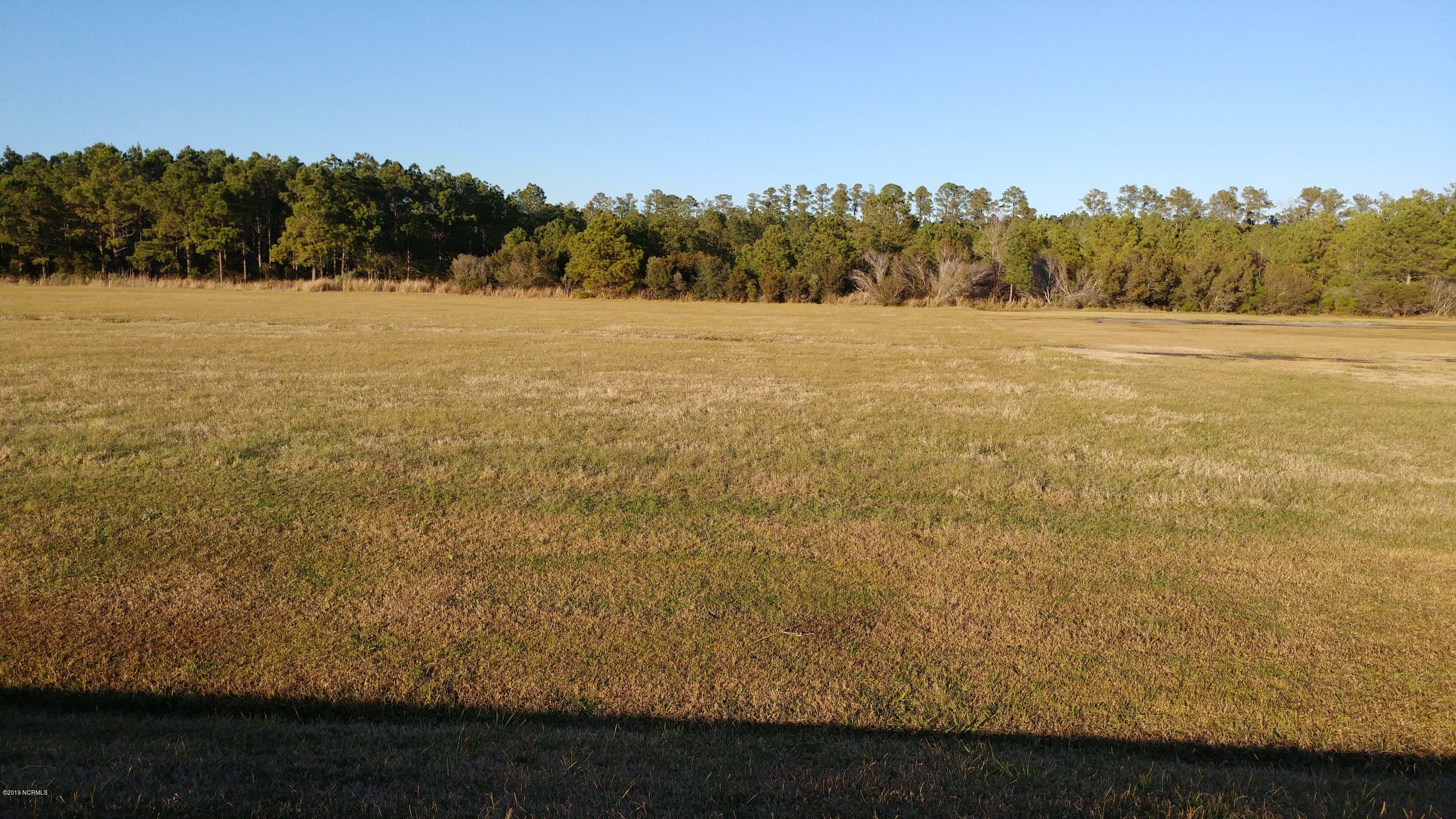 Property Photo: Lot 80 Dowry Creek E NC 27810