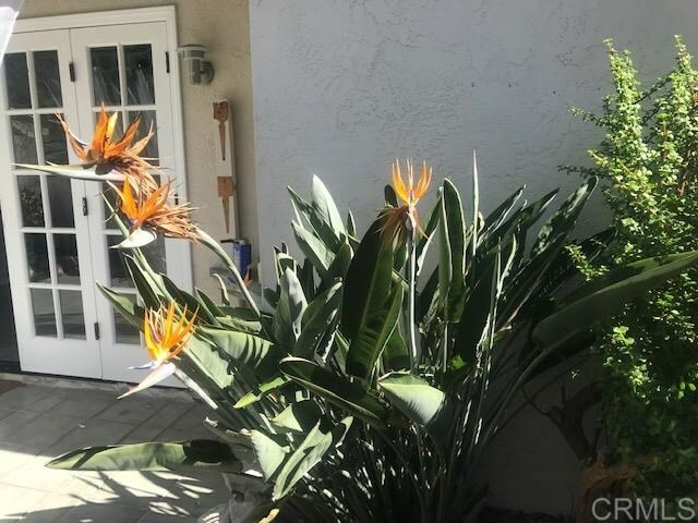 Property Photo: 1256 Evergreen Drive CA 92007