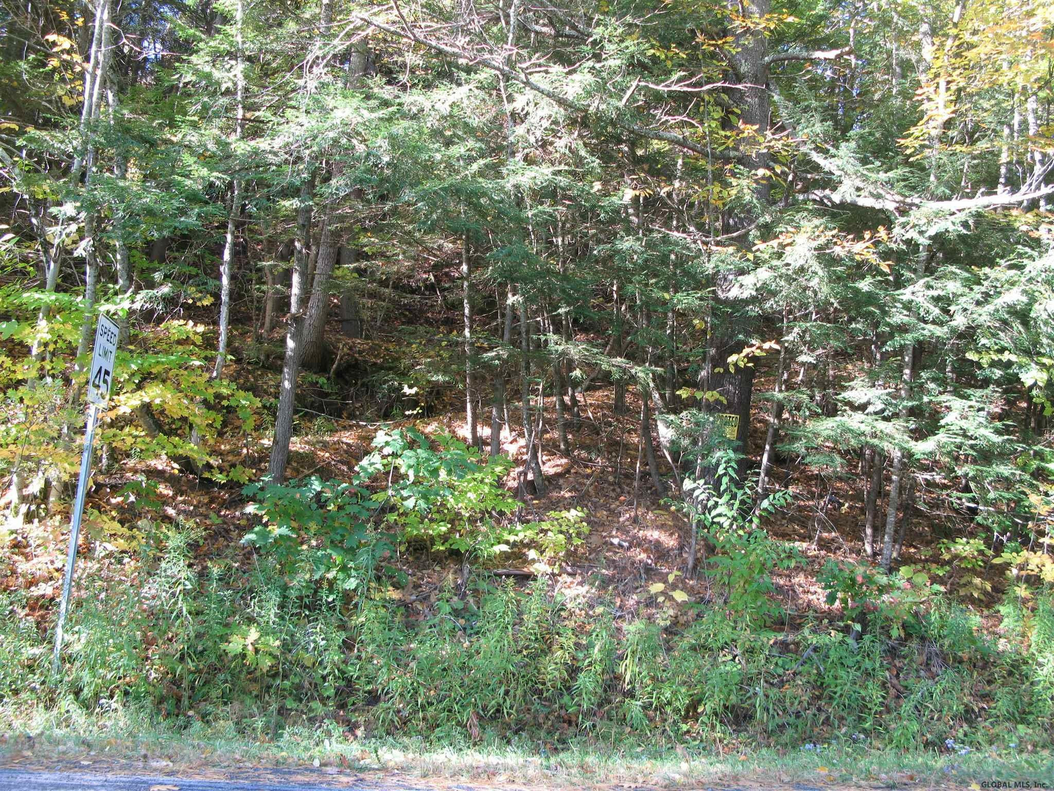 Shew Hollow Road  Gilboa NY 12076 photo