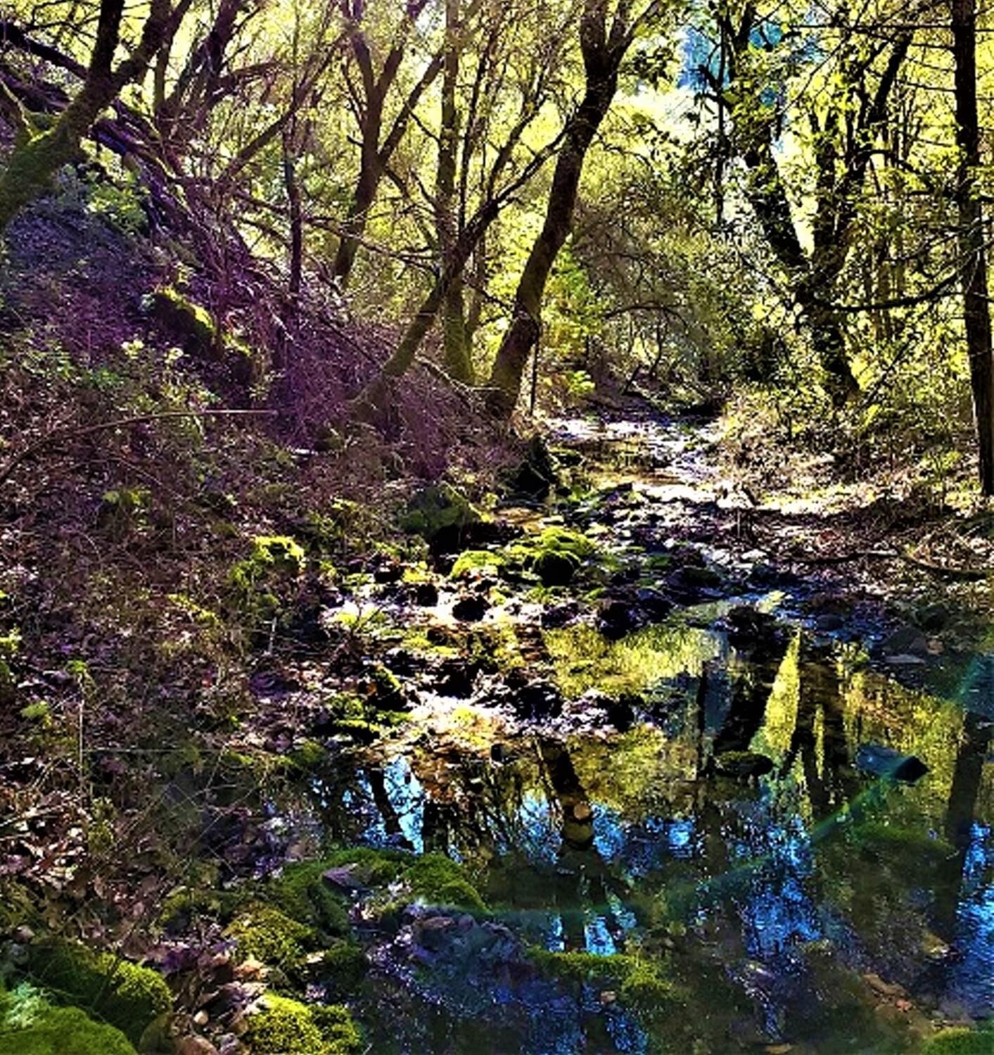 Property Photo: 40 Burlwood Road CA 95623