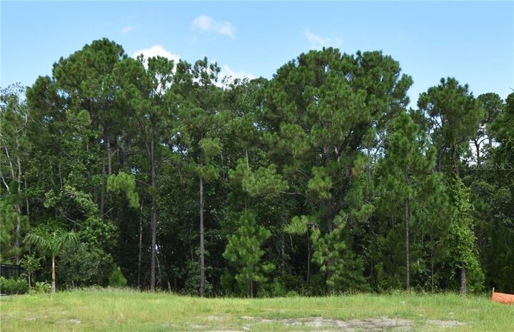 Property Photo:  8466 Adalina Place  FL 32827 