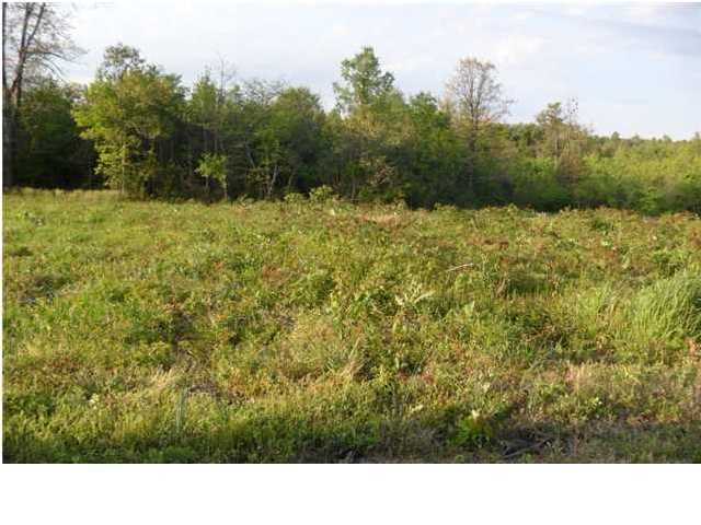 Property Photo: 0 County Rd 763 AL 35981