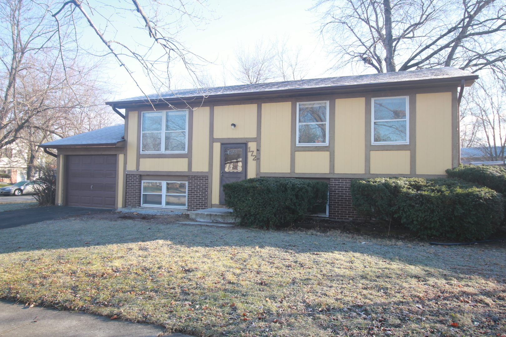 Property Photo:  172 Plainview Drive  IL 60440 