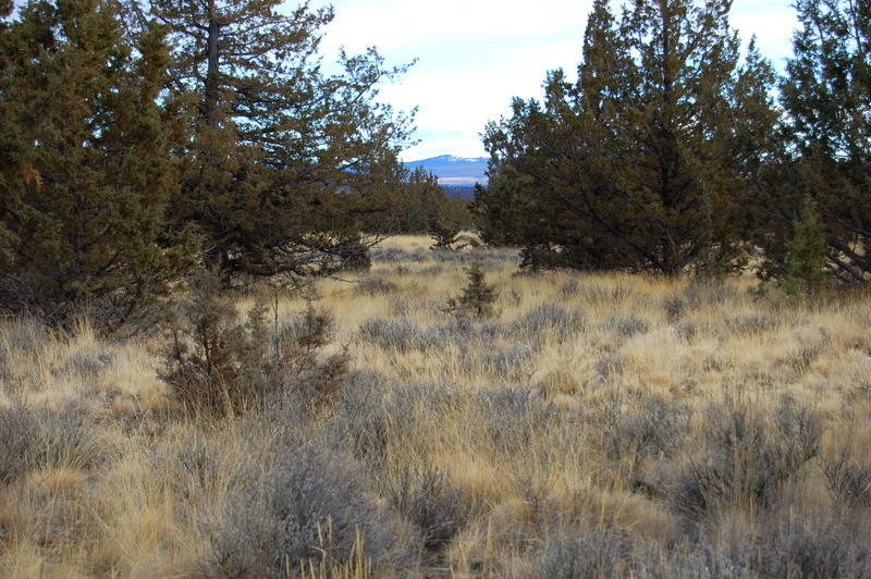 Property Photo:  Tl 2300 Iowa Road  OR 97754 