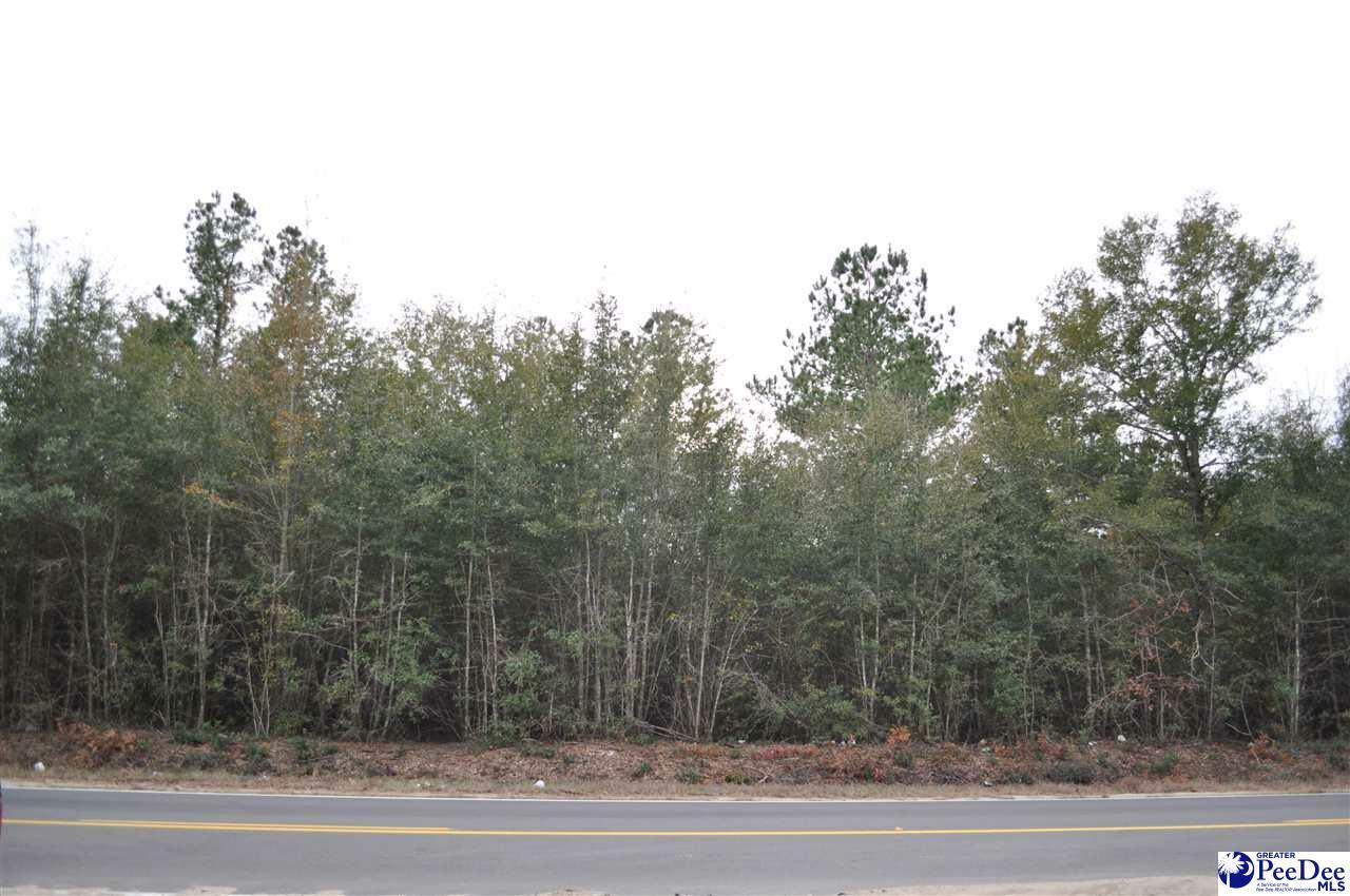 Property Photo:  2.1 Acres Oakridge Road  SC 29546 