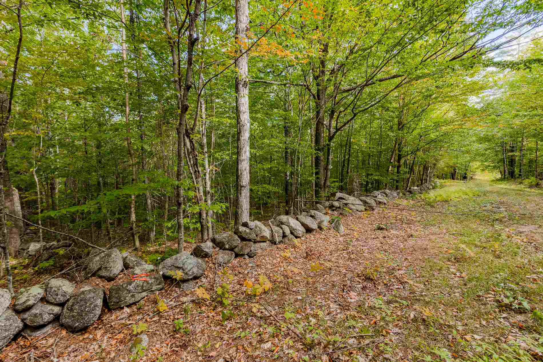 Property Photo:  Lot 7 North Wilmot Road  NH 03287 