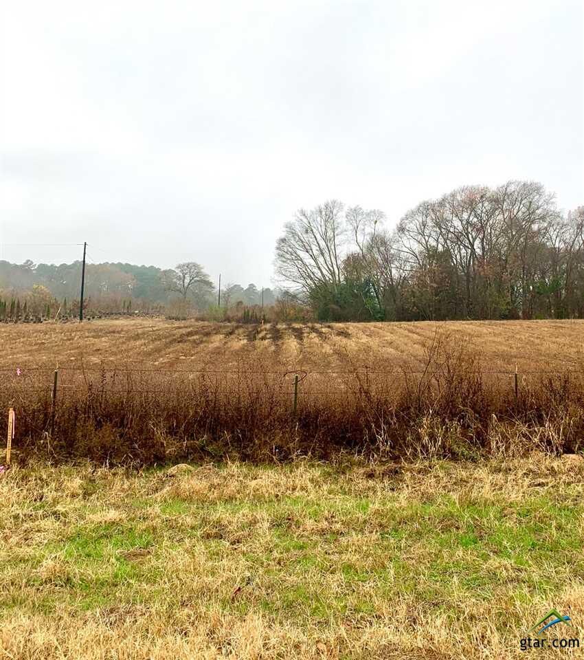 Property Photo:  17843 Cr 498  TX 75771 