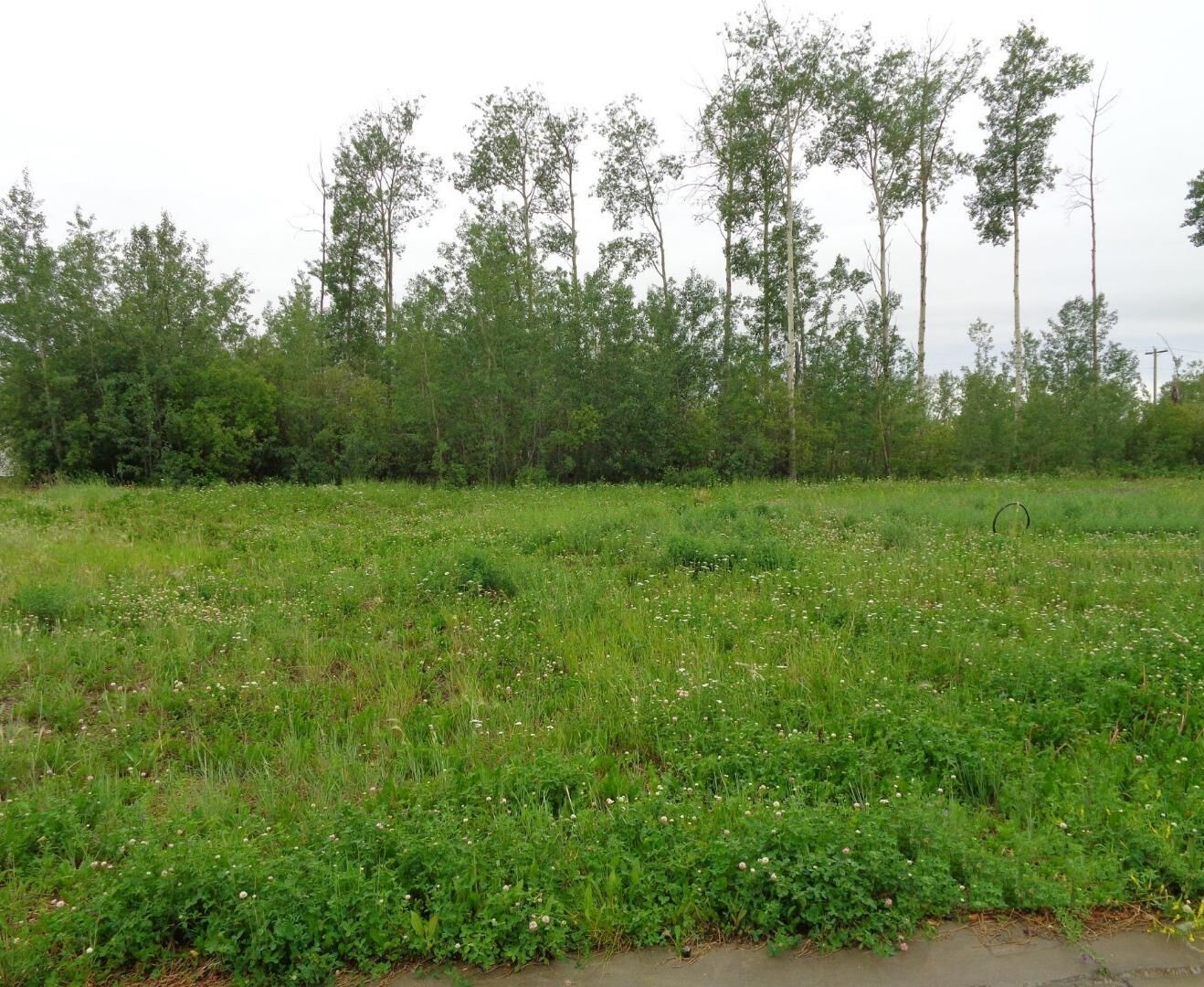 Property Photo: 29 Chonkolay Drive AB T0H 1Z0