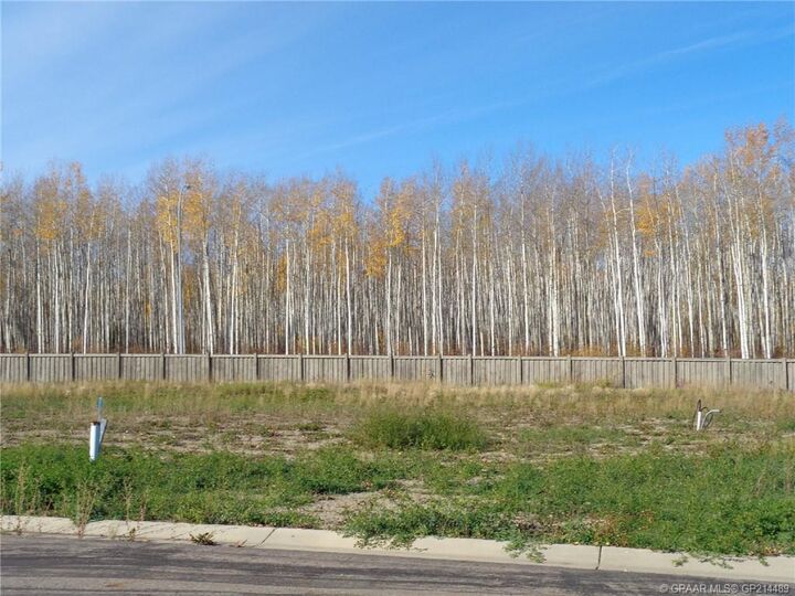 19 Bear Creek Drive — photo 1