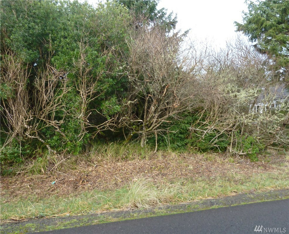 Property Photo:  316 N Razor Clam Dr SW  WA 98569 