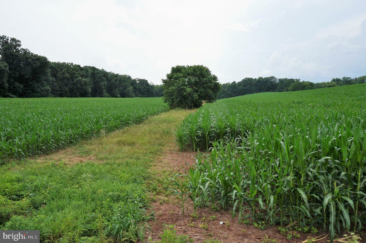 Property Photo: 650 Oxford Road PA 17350