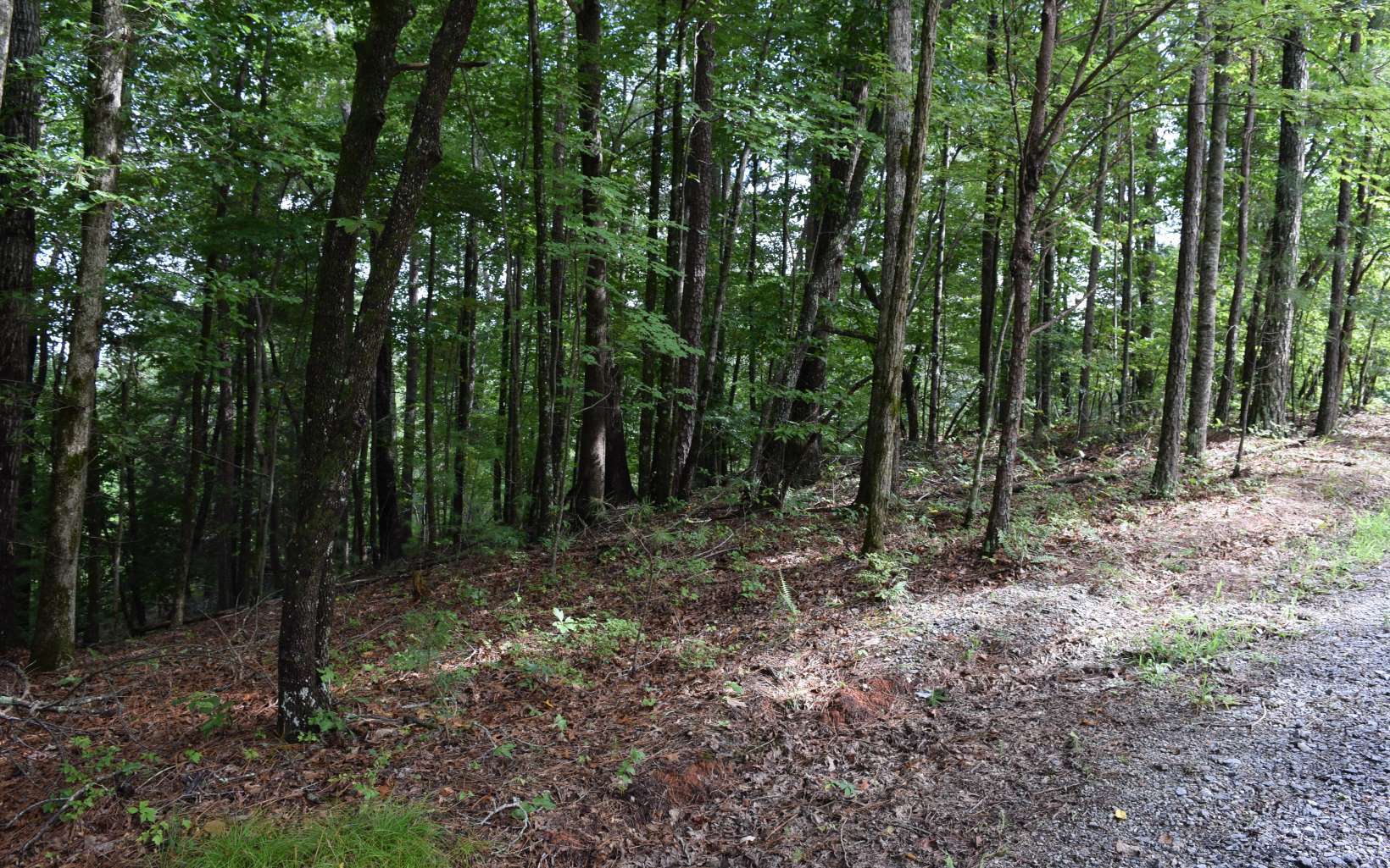 Property Photo:  Lt369 Summit Drive  GA 30540 