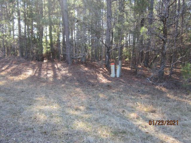 Property Photo:  000 Billy Lindsey Road  GA 30673 