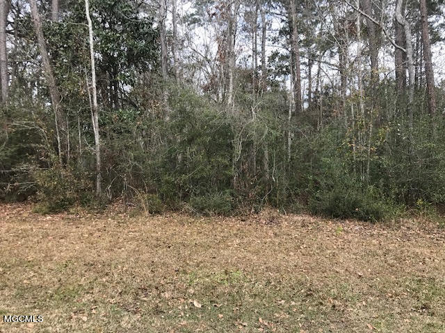 Property Photo: Lot 1 &Amp 2 Fairway Drive MS 39553