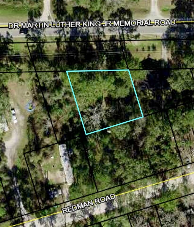 Property Photo: Tbd Dr. Mlk Memorial Road FL 32327-0000
