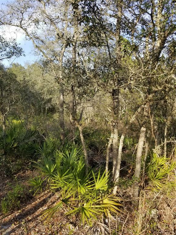 Property Photo:  Lot 39 Soap Stone Street  FL 33597 