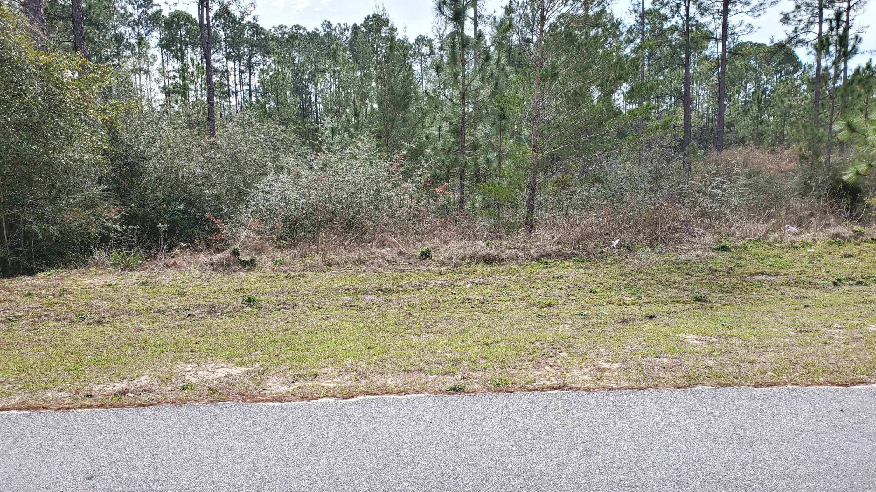 Property Photo:  Lot7 Blk13 Eagle Way  FL 32539 