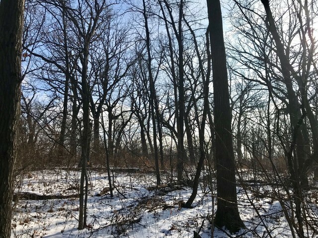 Property Photo: 21305 W East Cuba Road IL 60047