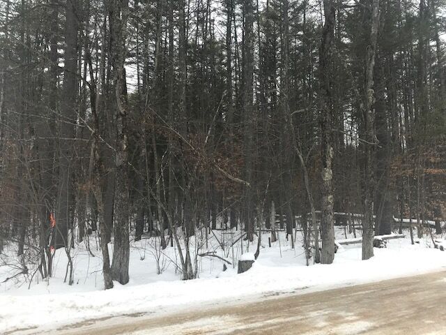 Property Photo:  Lot 36 Pickard Road  NH 03224 