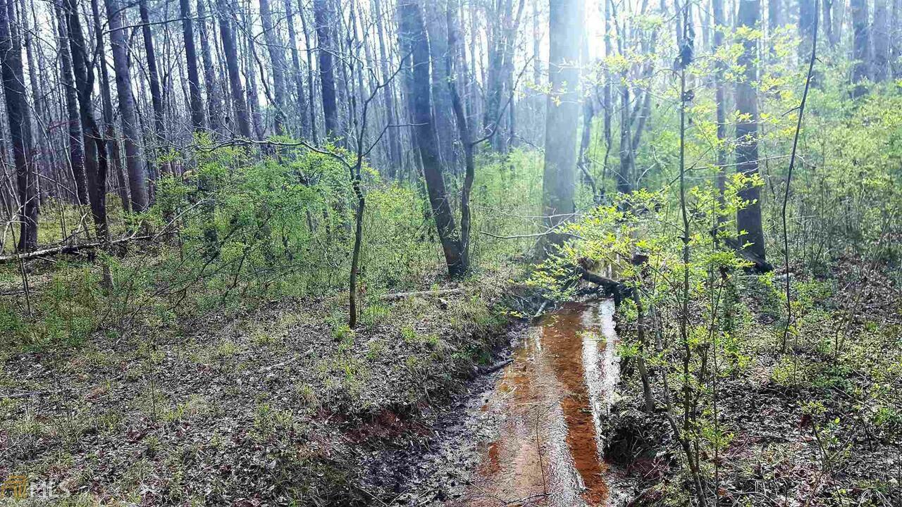 Property Photo:  0 Stagecoach Road 20.17 Acres  GA 30281 