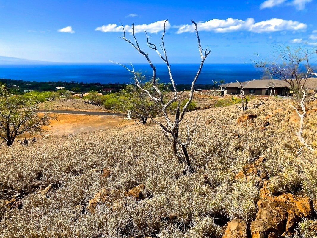 Kohala Ranch  Kamuela HI 96743 photo