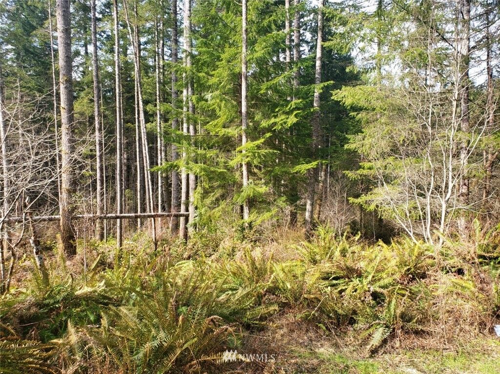 Property Photo:  13078 Burchard Drive SW  WA 98367 