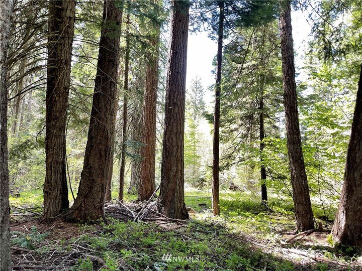 Property Photo:  0  Westside Road  WA 98922 