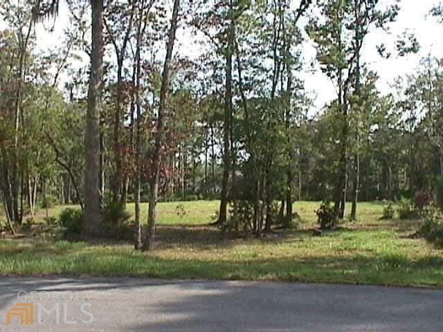 Property Photo:  70 Ranch Court  GA 31569 