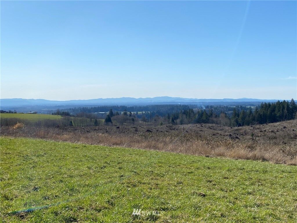 Property Photo: 445 Schoen Road WA 98564