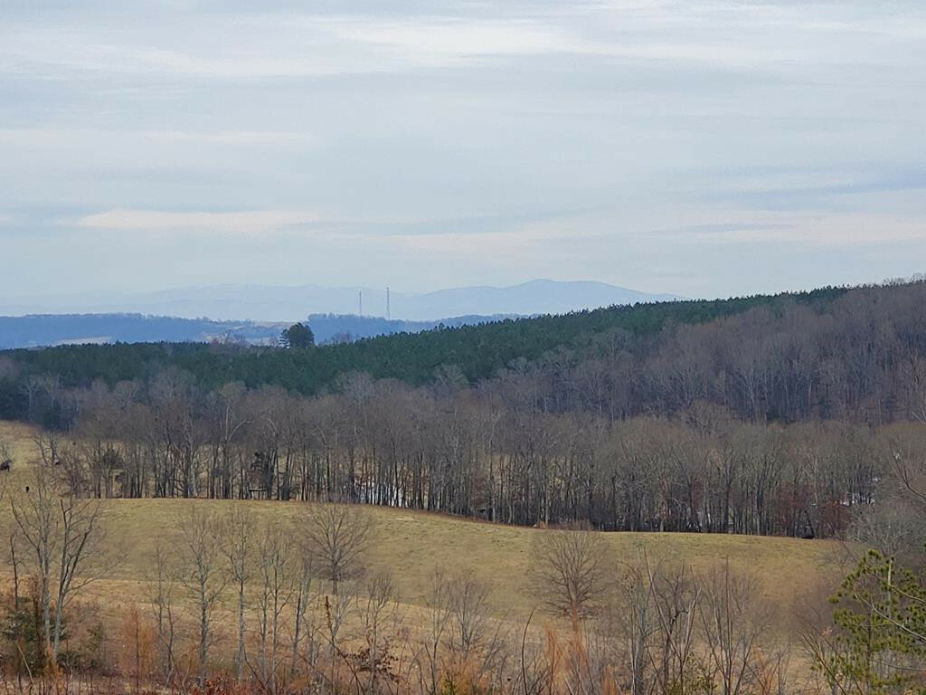 Property Photo: 45 Acres O Slabtown Road TN 37874