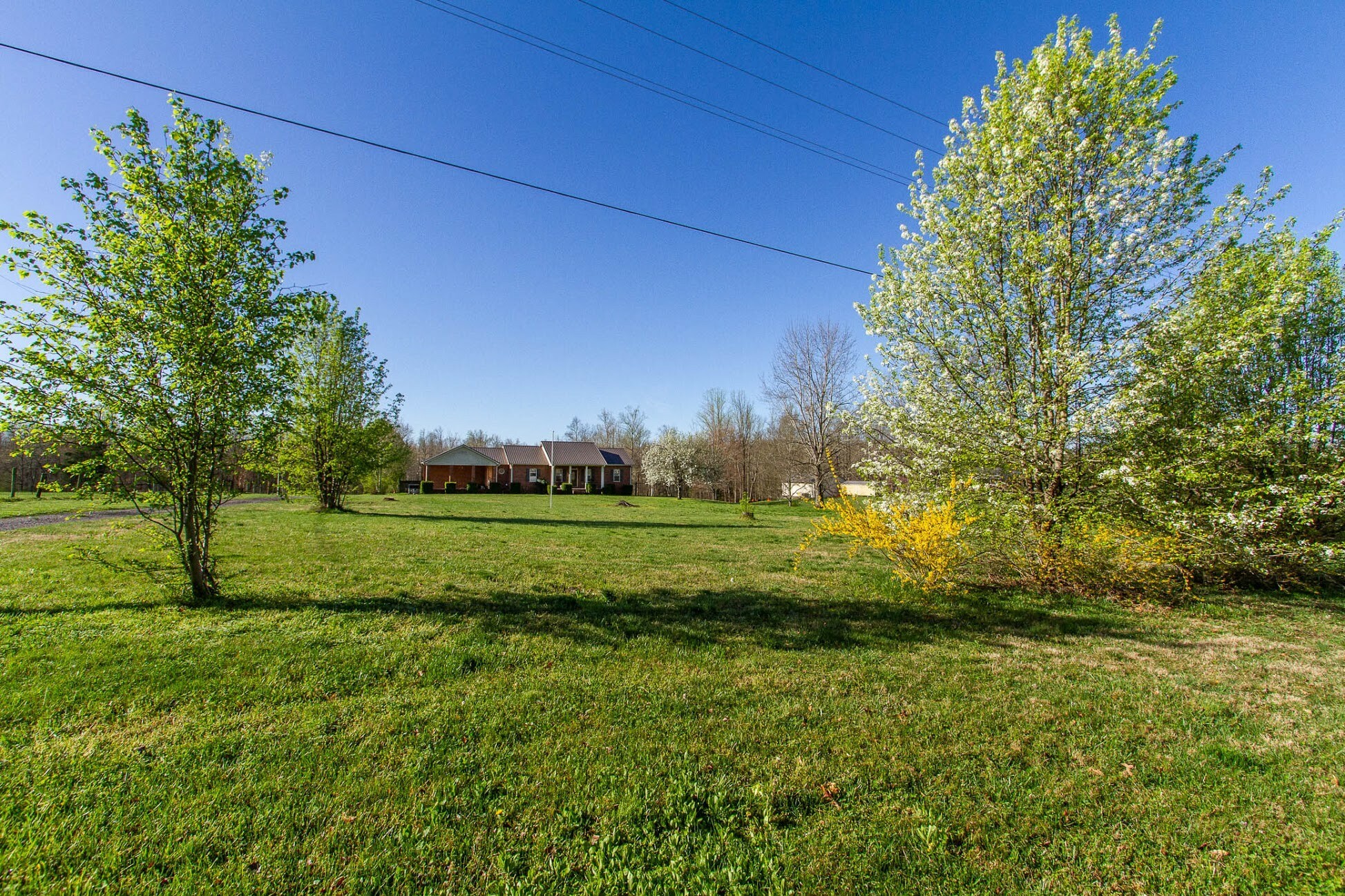 Property Photo:  421 Toy Denny Rd  TN 37026 