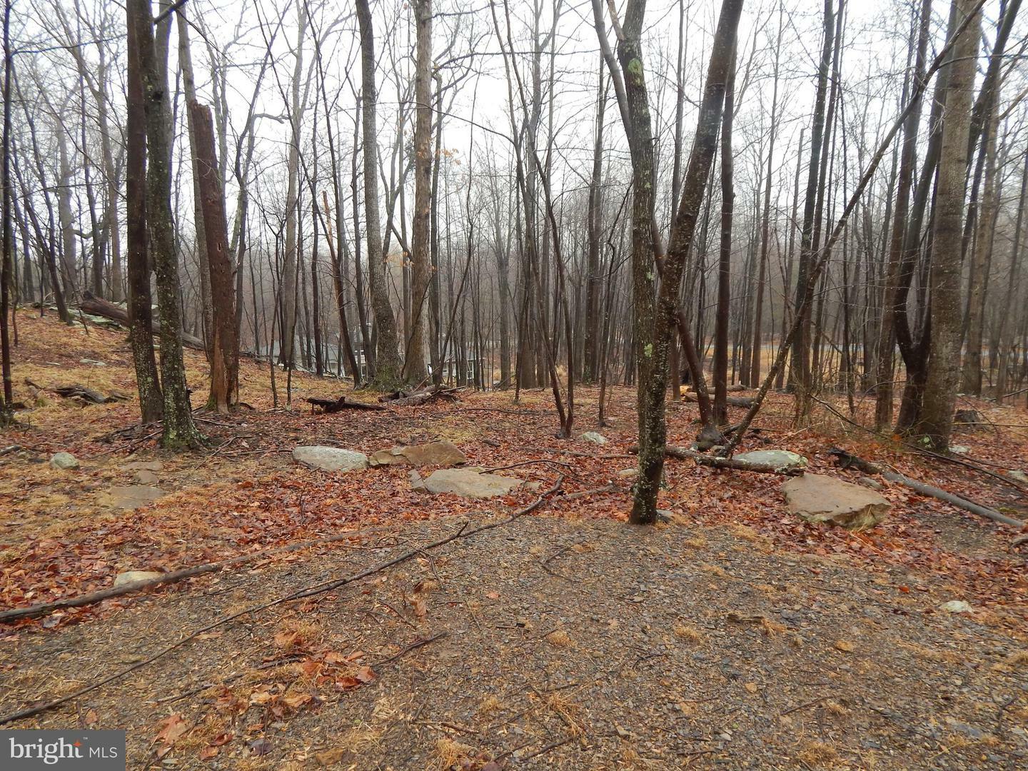 Property Photo:  Lot 37 Parkside Court  WV 25411 