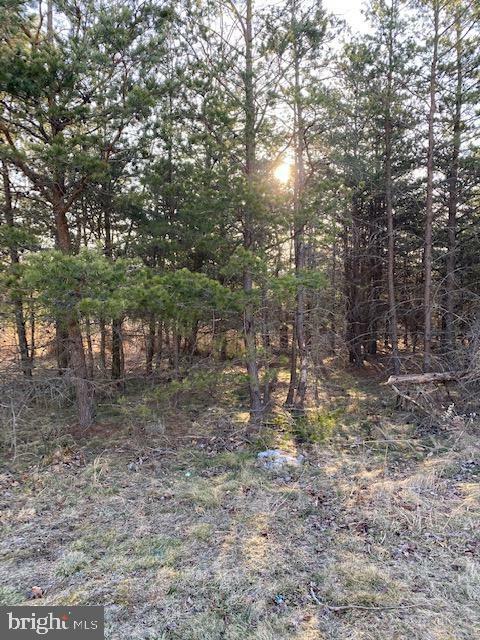 Property Photo: 0 Phoebe WV 25411