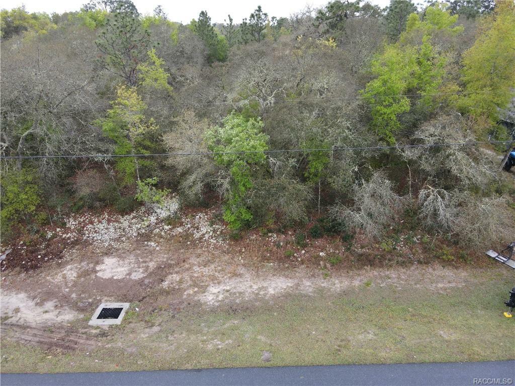 Property Photo:  3120 W Camilo Drive  FL 34433 