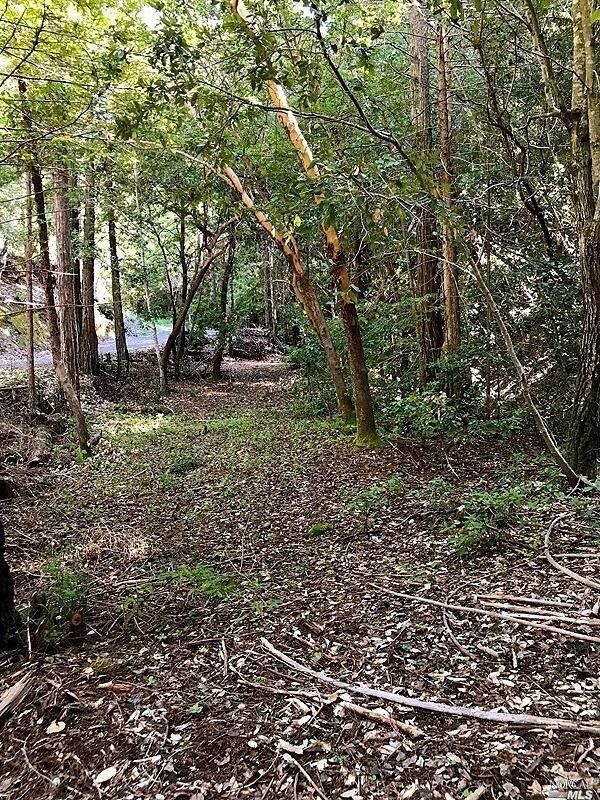 Property Photo:  16167 Fern Way  CA 95446 