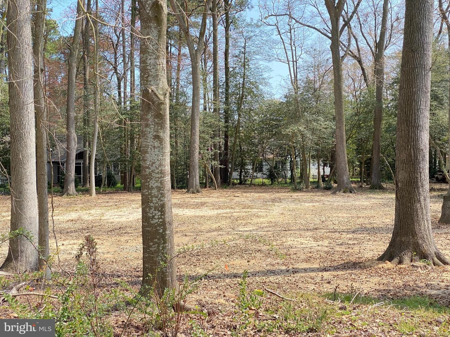 Property Photo: 29996 W Randor Drive DE 19968