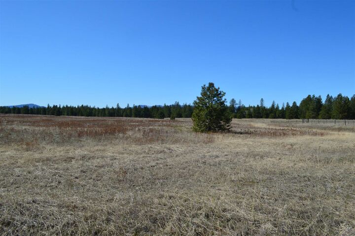 1xxx E 12th St  Deer Park WA 99006 photo