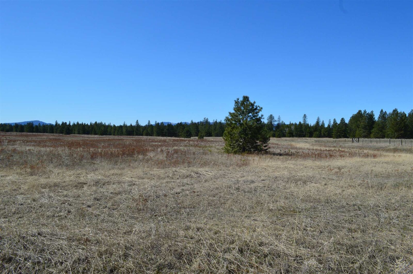 Property Photo: 1xxx E 12th St WA 99006