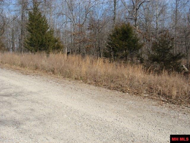 Property Photo:  Lots J &Amp K Potawatomie Trail  AR 72623 
