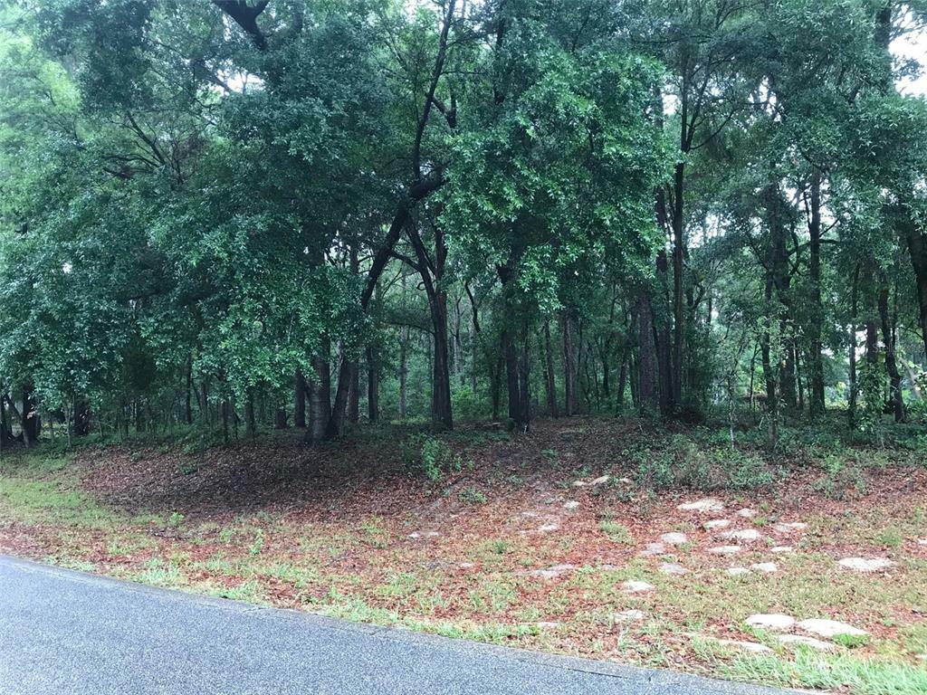 Property Photo:  133 Piney Woods Road  FL 32703 