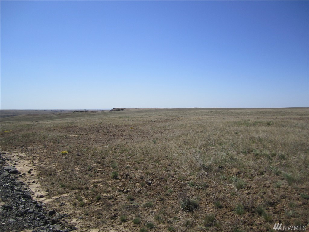 Property Photo: 0 Eagle Crest Lp NE 142 WA 98832