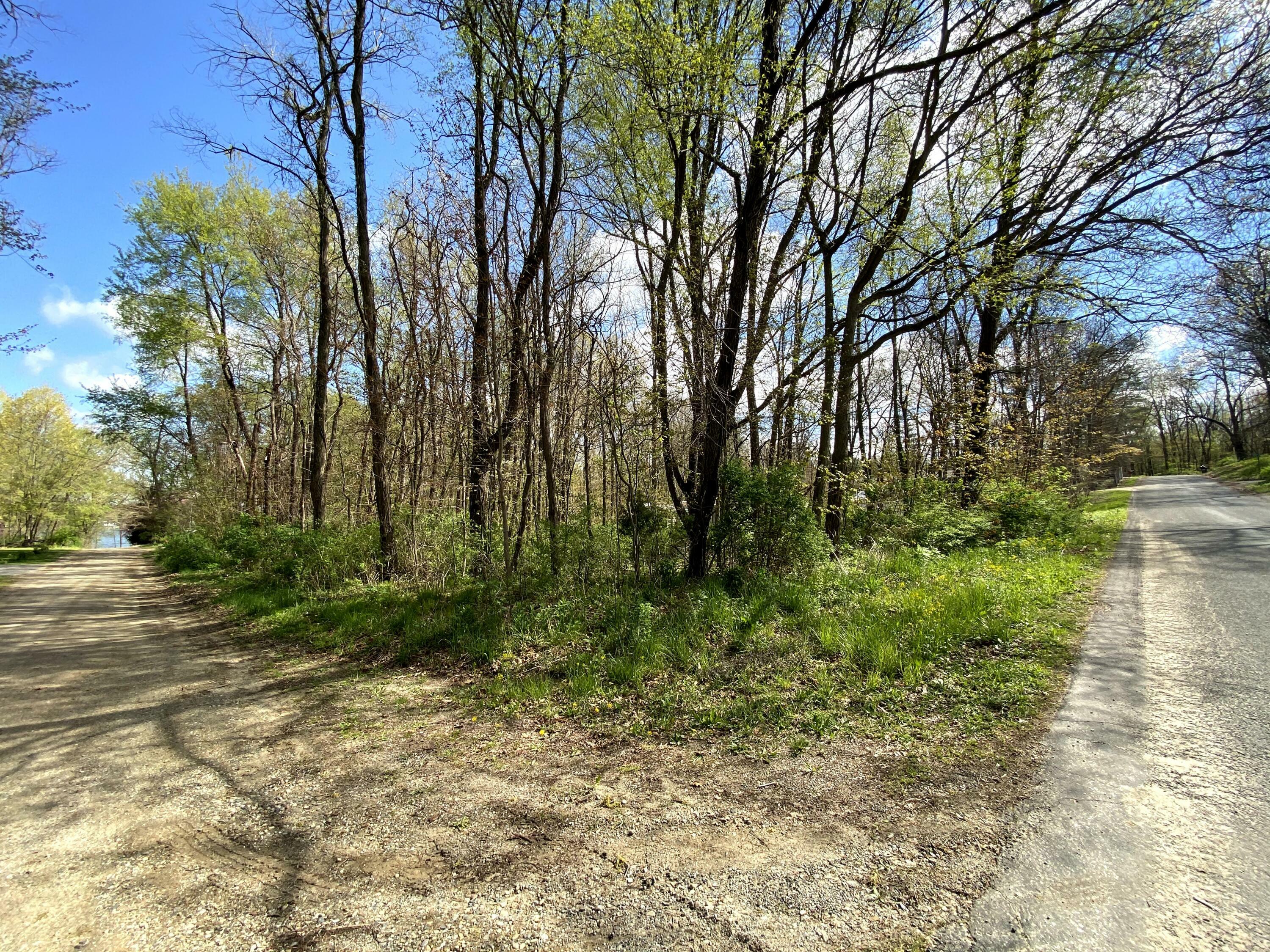 Property Photo:  Vl Maple Street  MI 49047 