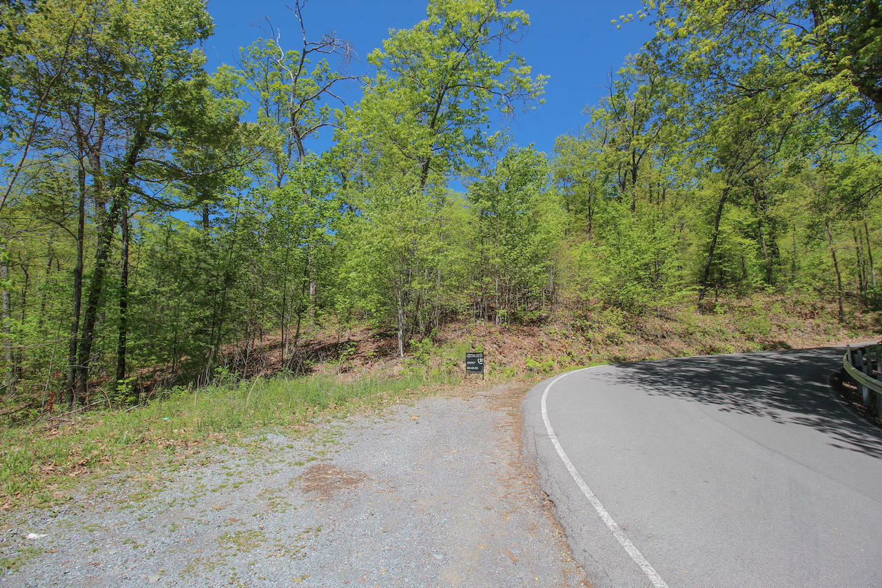 Property Photo:  Lot 128 Bluff Mountain Rd.  TN 37876 