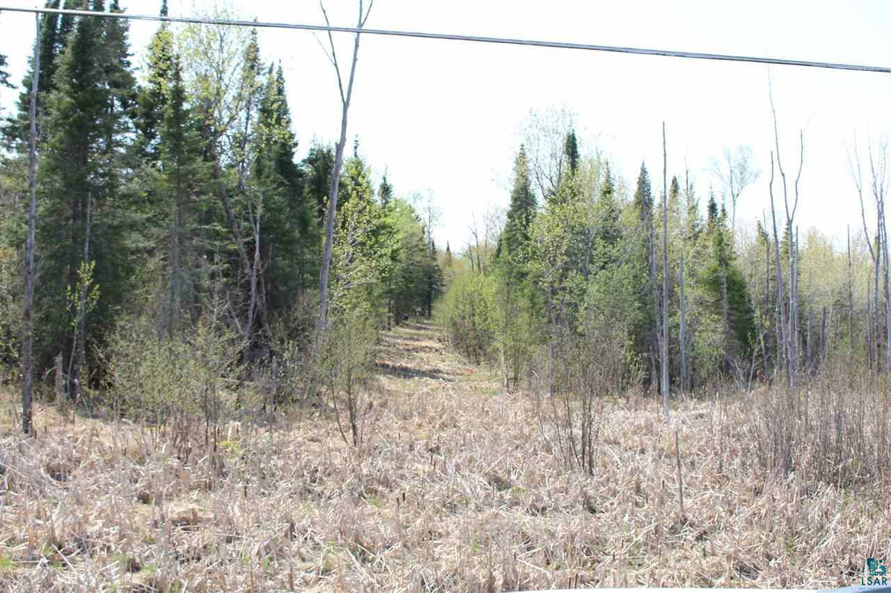 Property Photo:  Xxxx Lavaque Rd  MN 55811 