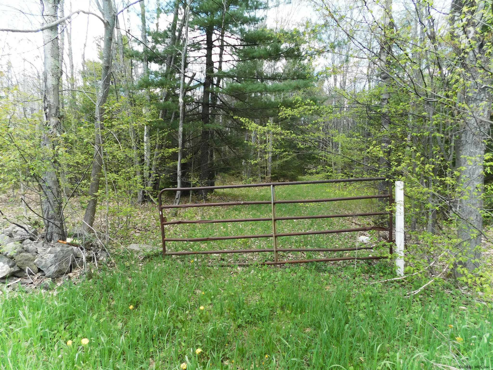 Property Photo:  391 Stone Store Road  NY 12122 