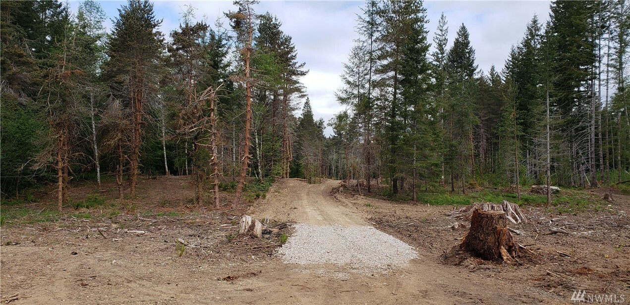 Property Photo:  34 X Hurd (West Lot) Rd  WA 98588 