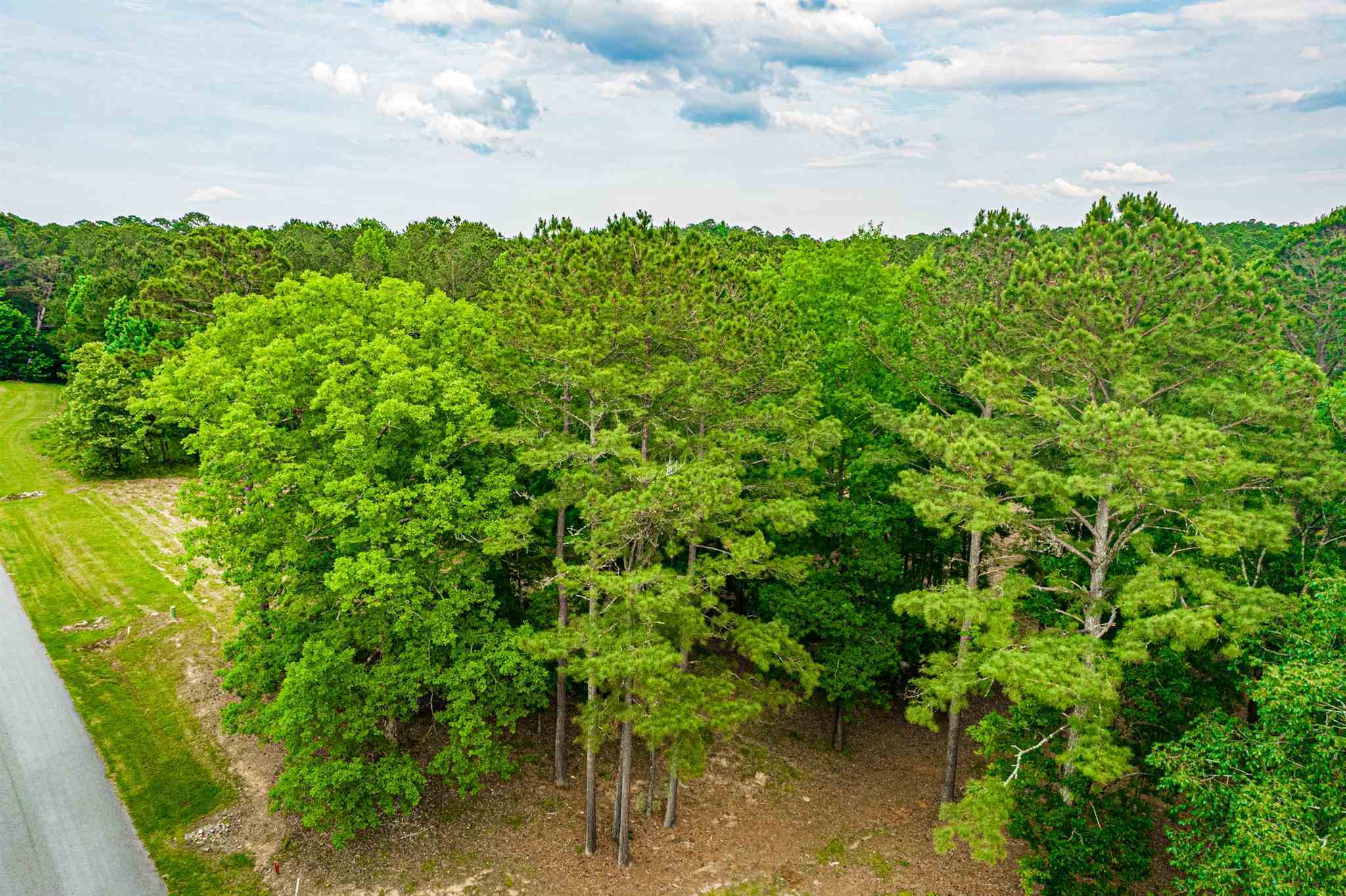Property Photo: 1041 Forrest Highlands GA 30642