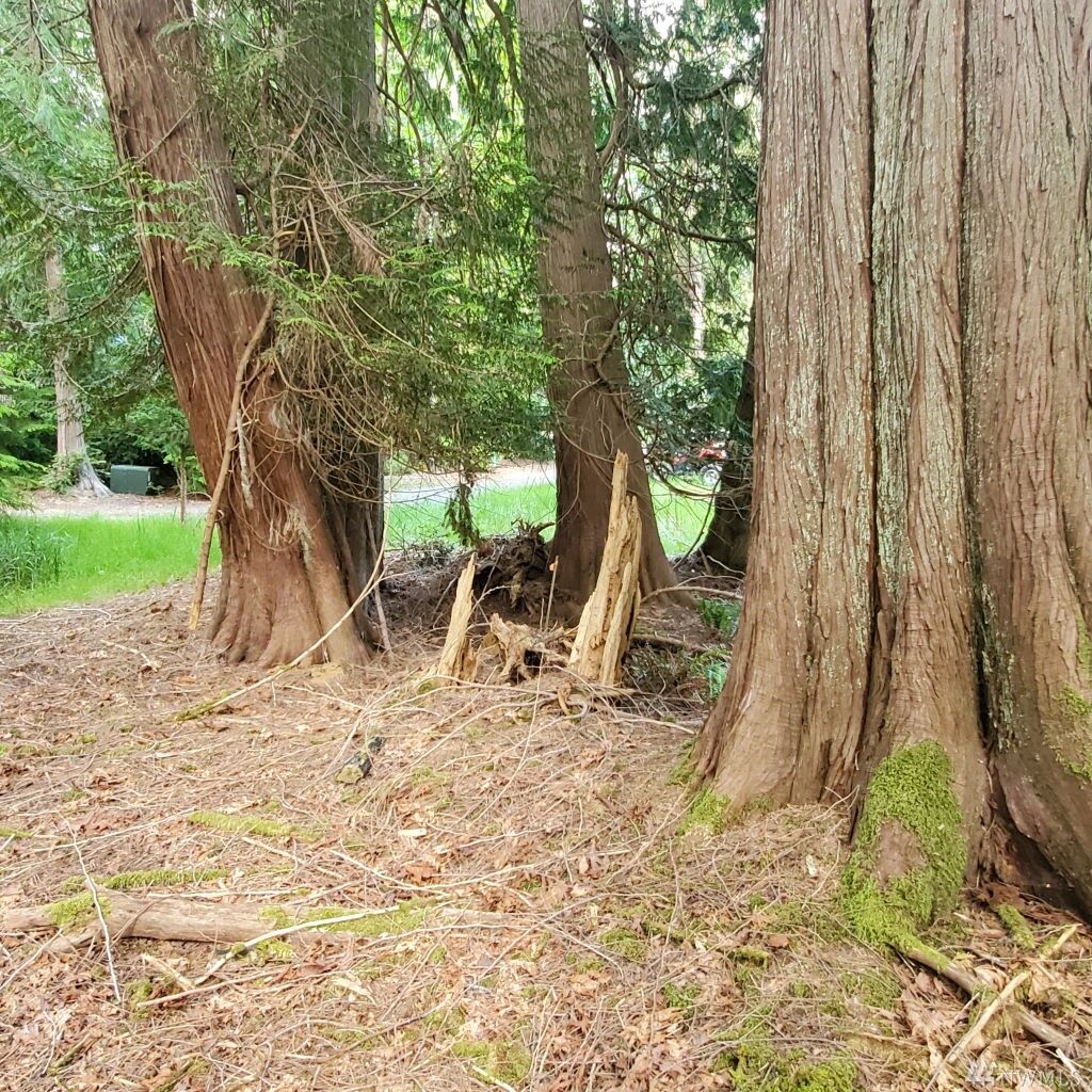 Property Photo:  441 E Pointes Dr E  WA 98584 