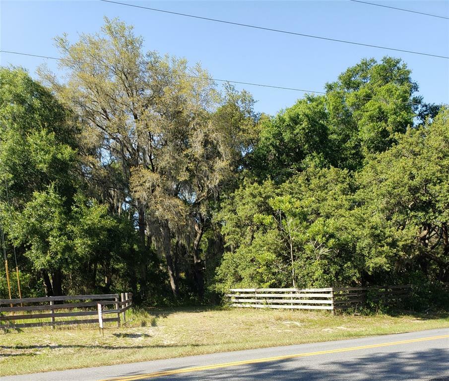 Property Photo:  Oak Woods Way  FL 32159 